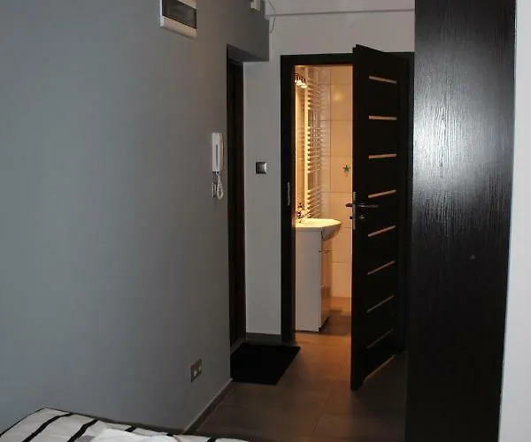 Fibra Aroma Apartmán Rybnik (Silesia)